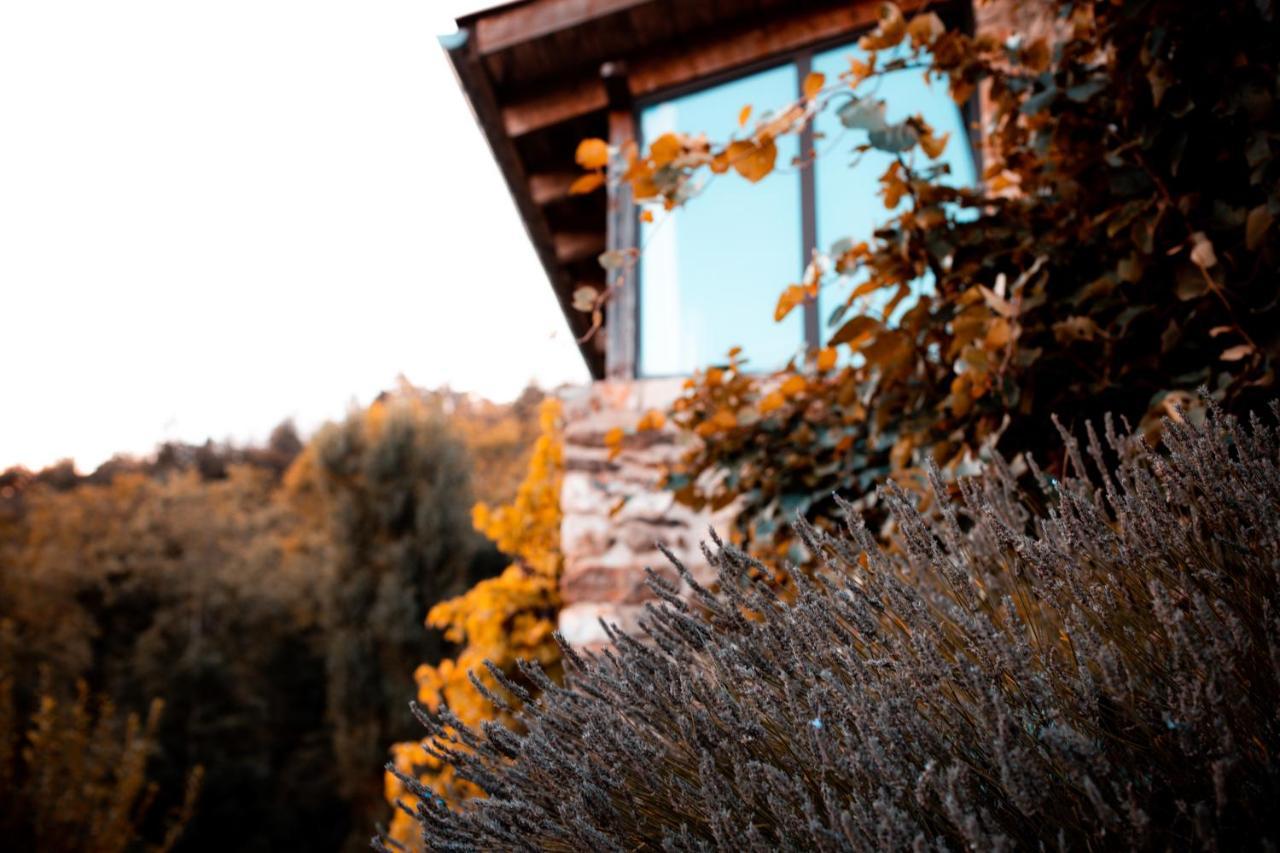 Maison D'Hotes Le Hameau De La Mure Saint-Laurent-du-Pape Ngoại thất bức ảnh
