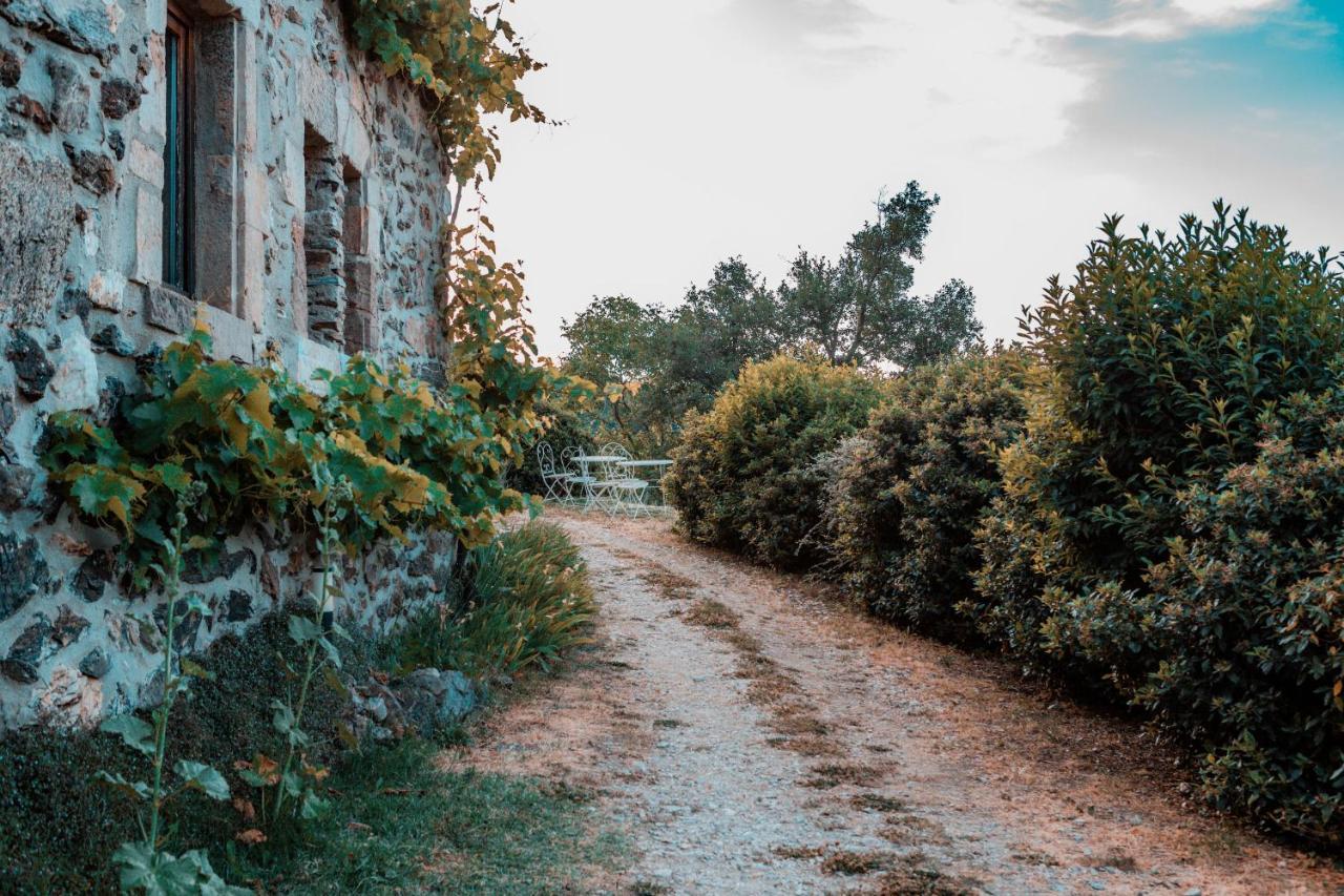 Maison D'Hotes Le Hameau De La Mure Saint-Laurent-du-Pape Ngoại thất bức ảnh