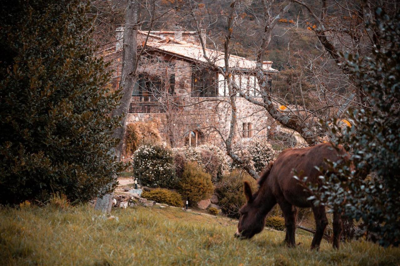 Maison D'Hotes Le Hameau De La Mure Saint-Laurent-du-Pape Ngoại thất bức ảnh